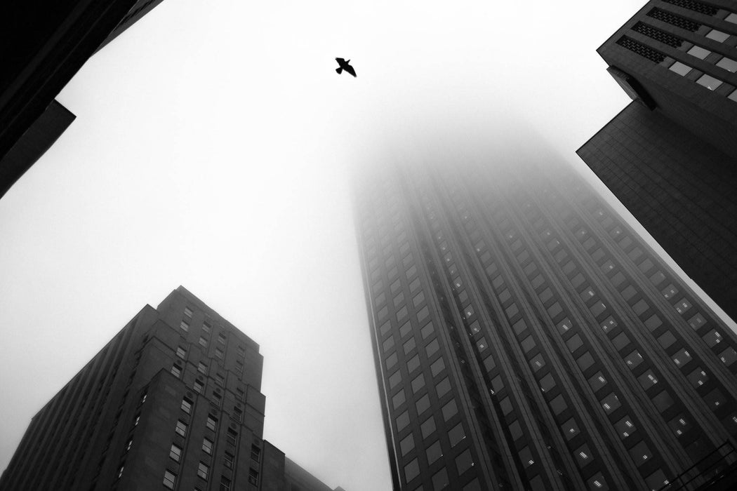 Cartes postales 5x7 (lot de 5) par julien catella 1