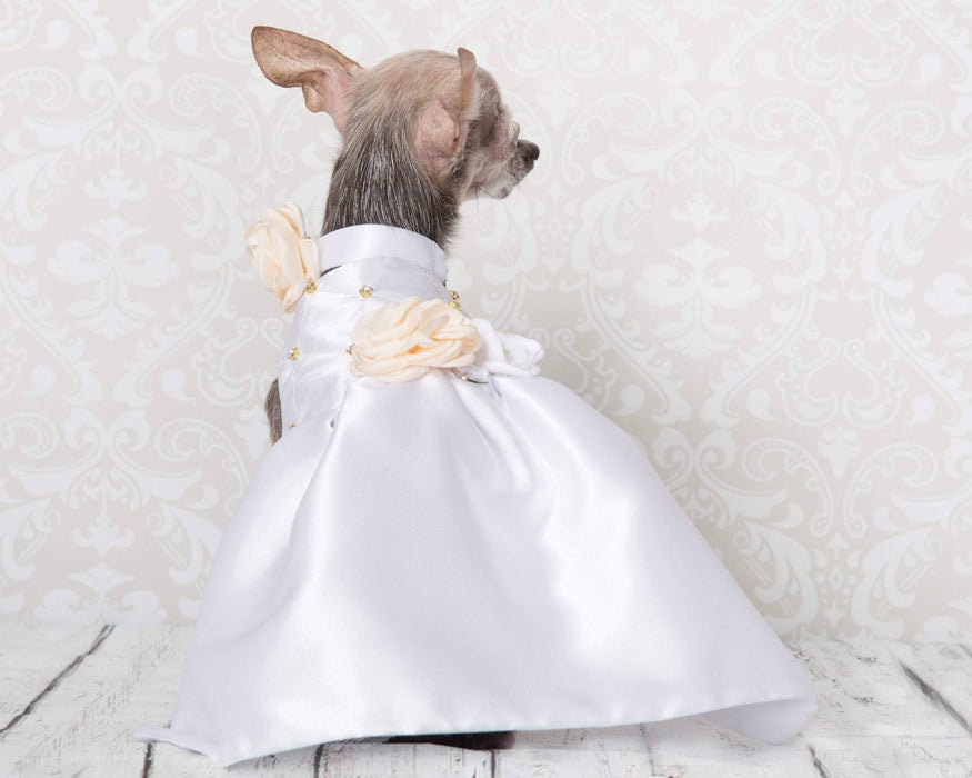 Ensemble robe martini pour chien en satin blanc pour mariage, avec brillants dorés ou argentés, fleurs, collier et laisse assortis