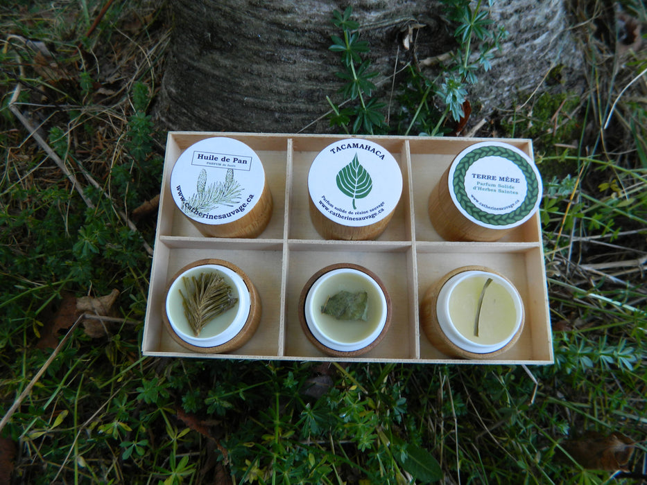 Ensemble 3 parfums solides botaniques forestiers