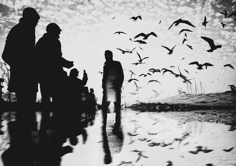 Cartes postales 5x7 (lot de 5) par yalim vural 7