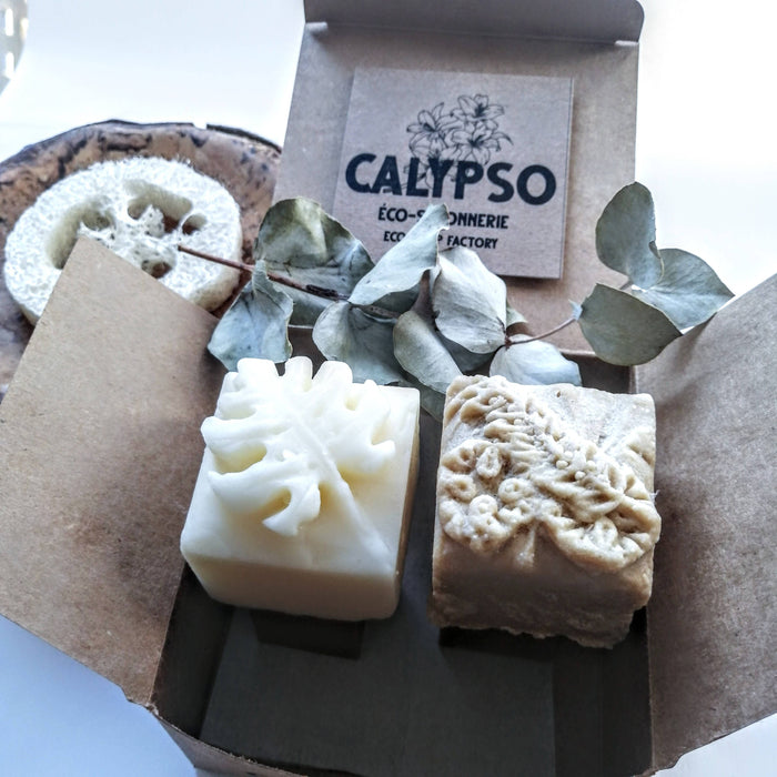 Coffret - shampoing bois et revitalisant solides - cheveux doux