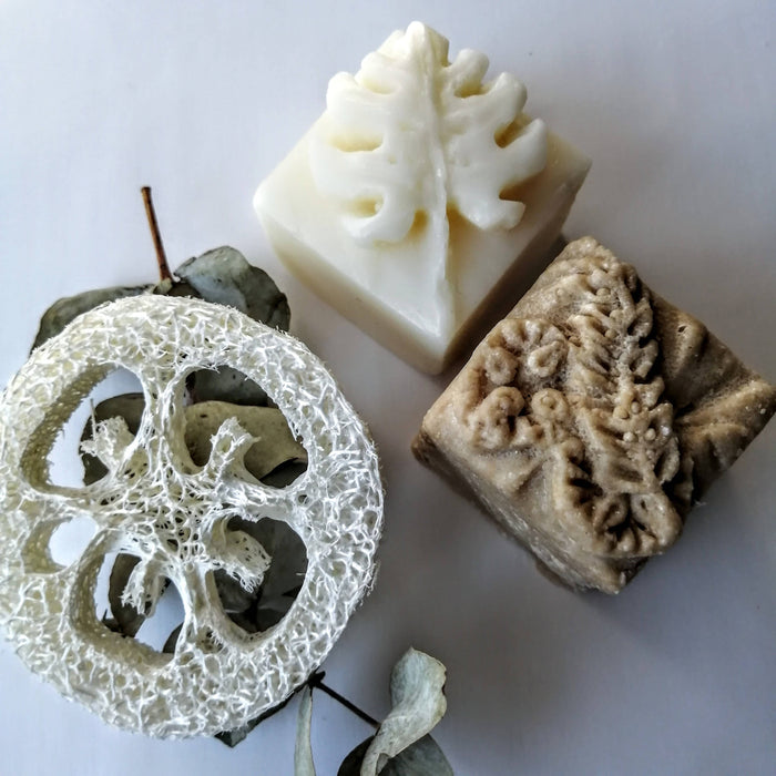 Coffret - shampoing bois et revitalisant solides - cheveux doux