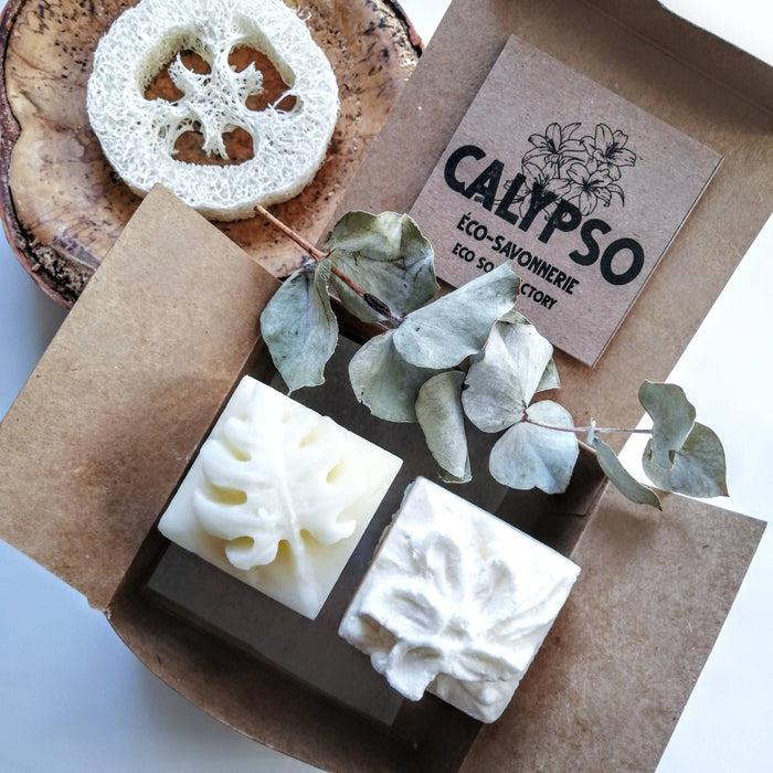 Coffret - shampoing jasmina & revitalisant solides - cheveux brillants