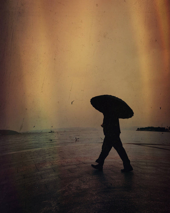 Cartes postales 5x7 (lot de 5) par yalim vural 8