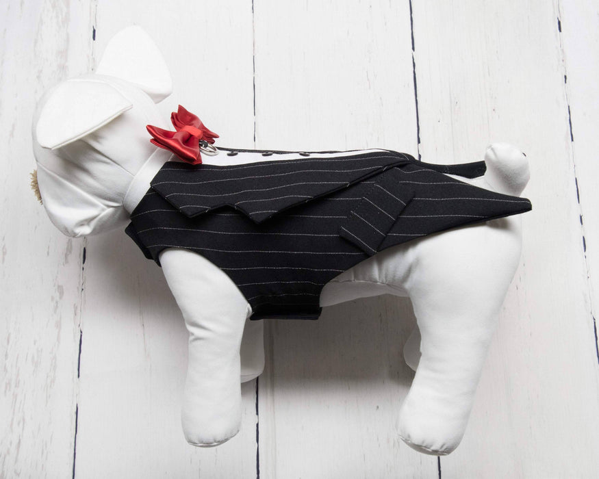 Toxedo zuko noir ligné blanc pour chien pour anniversaire, mariage, fête ou autre occasion