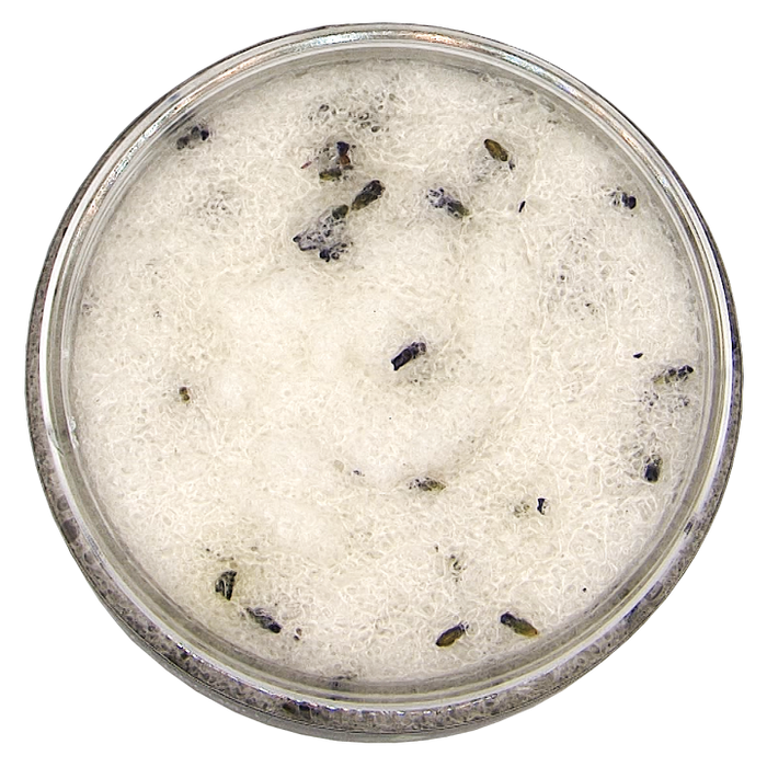 Gommage corporel - sel d'epsom, lavande et vitamine e