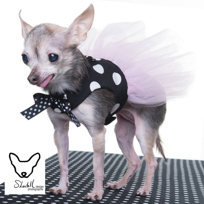 Robe harnais en coton noir à gros pois blanc et tutu tulle rose pour chien xxxs, xxs, xs, s, m et l