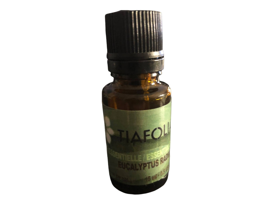 Huile essentielle eucalyptus