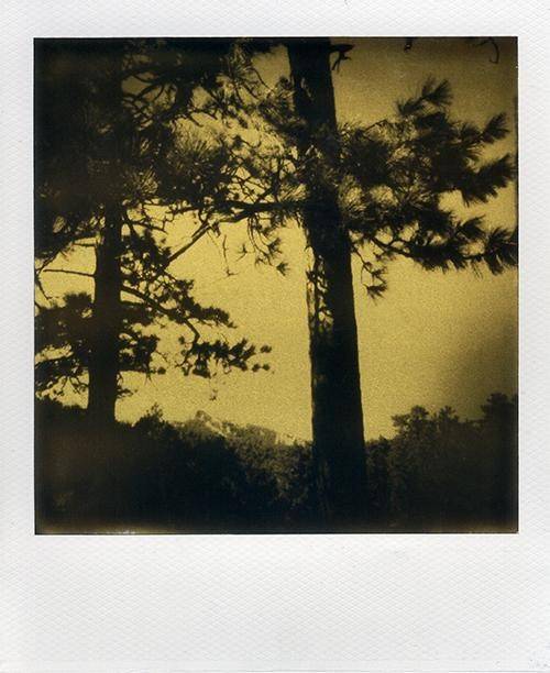 Cartes postales 5x7 (lot de 5) par daniel guy