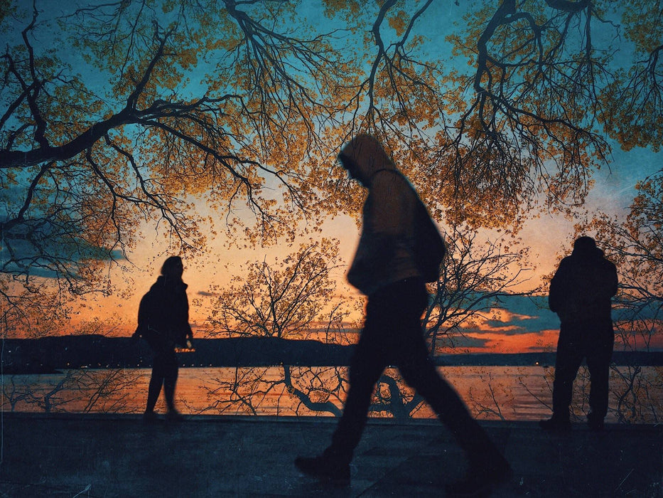 Cartes postales 5x7 (lot de 5) par yalim vural 5