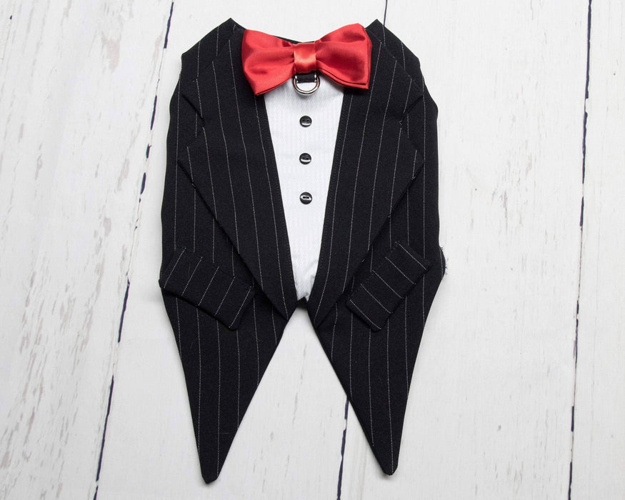 Toxedo zuko noir ligné blanc pour chien pour anniversaire, mariage, fête ou autre occasion