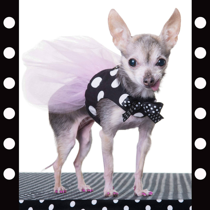 Robe harnais en coton noir à gros pois blanc et tutu tulle rose pour chien xxxs, xxs, xs, s, m et l