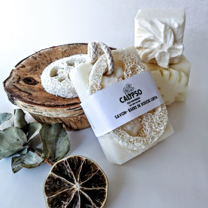 COFFRET CADEAU - BOX CHEVEUX et CORPS - Body and hair kit - Calypso Éco-savonnerie