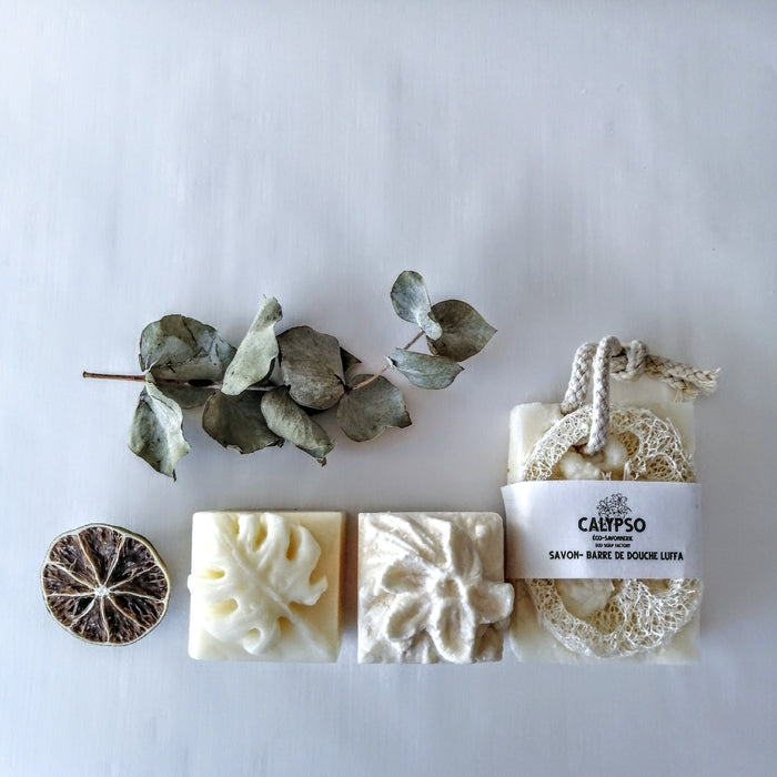 COFFRET CADEAU - BOX CHEVEUX et CORPS - Body and hair kit - Calypso Éco-savonnerie