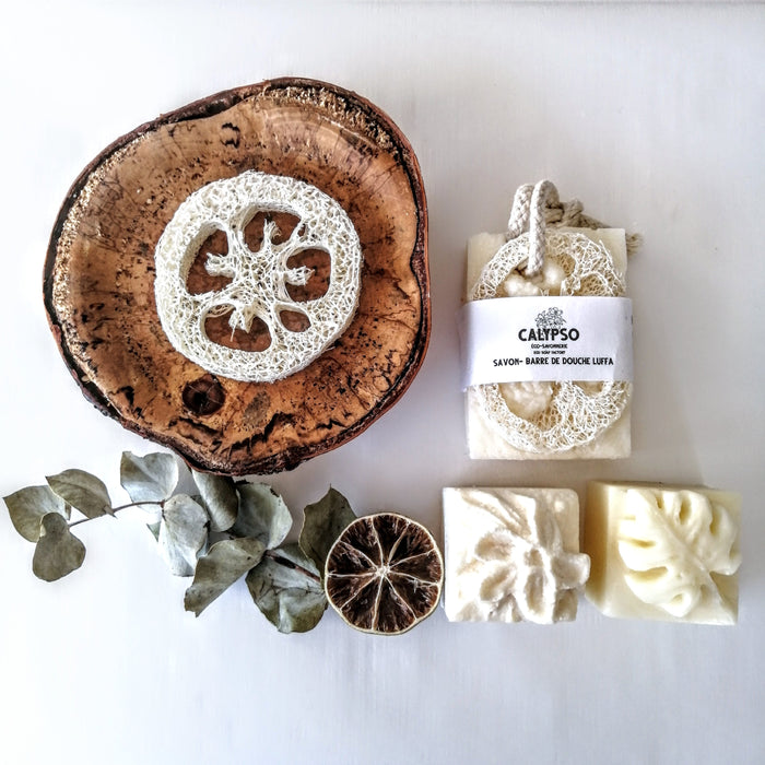 COFFRET CADEAU - BOX CHEVEUX et CORPS - Body and hair kit - Calypso Éco-savonnerie