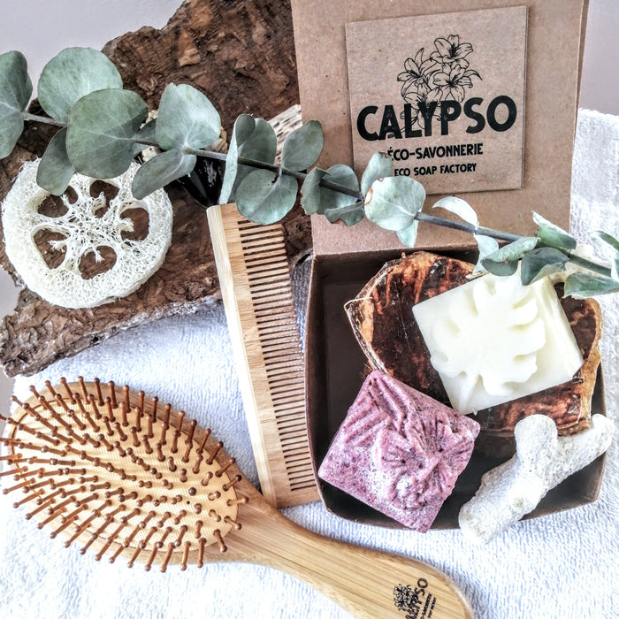 Ensemble beauté cheveux calypso - kit de départ zéro déchet - zero waste hair beauty box