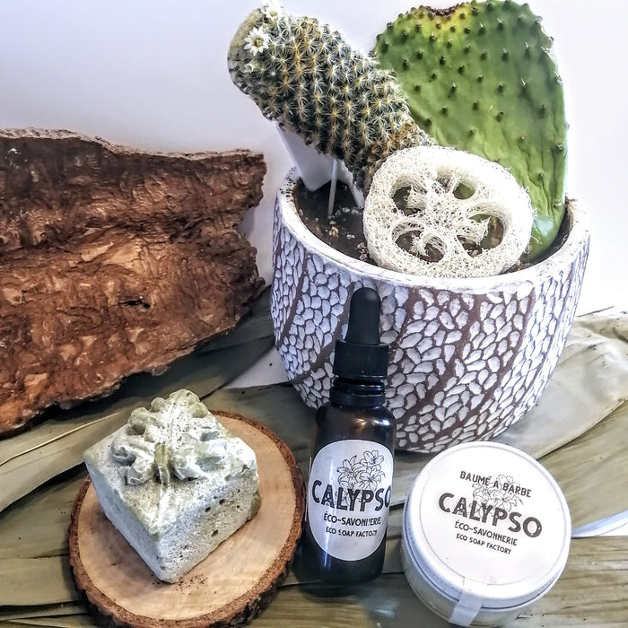 COFFRET CADEAU - BOX SOINS DE LA BARBE - beard care kit - Calypso Éco-savonnerie