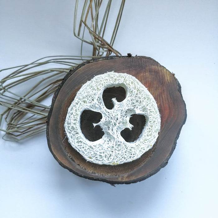 Porte savon en luffa - luffa soap dish