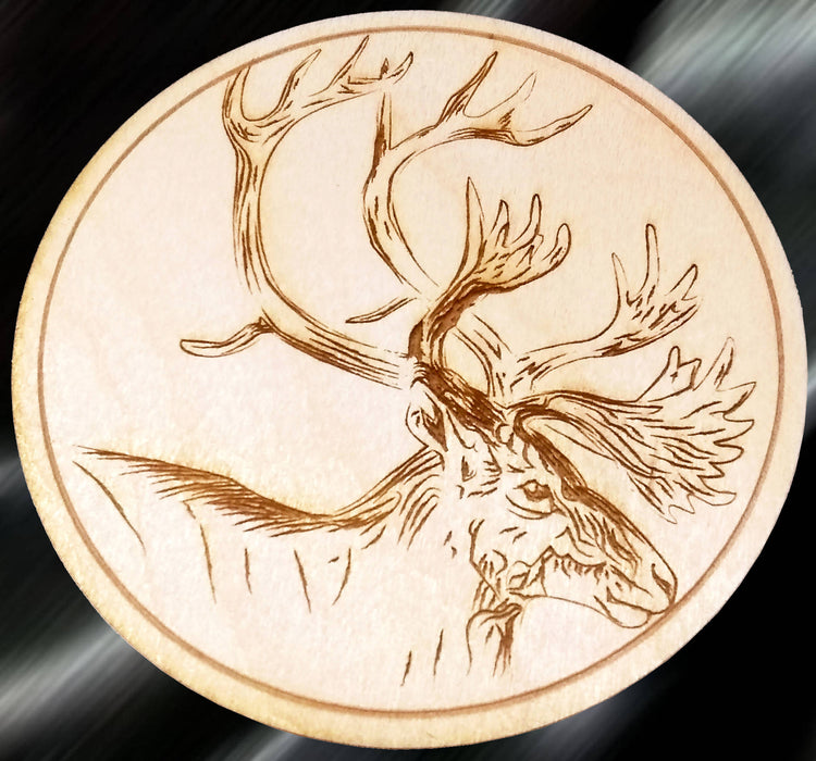 Ensemble sous-verres animaux