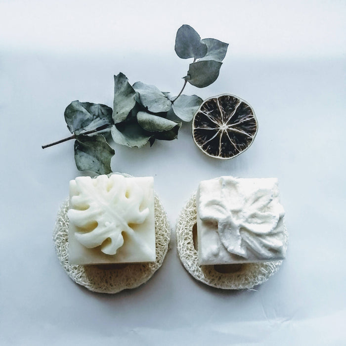 Coffret - shampoing jasmina & revitalisant solides - cheveux brillants