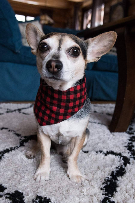 Bandana foulard buffalo à carreaux noirs et rouges pour chien