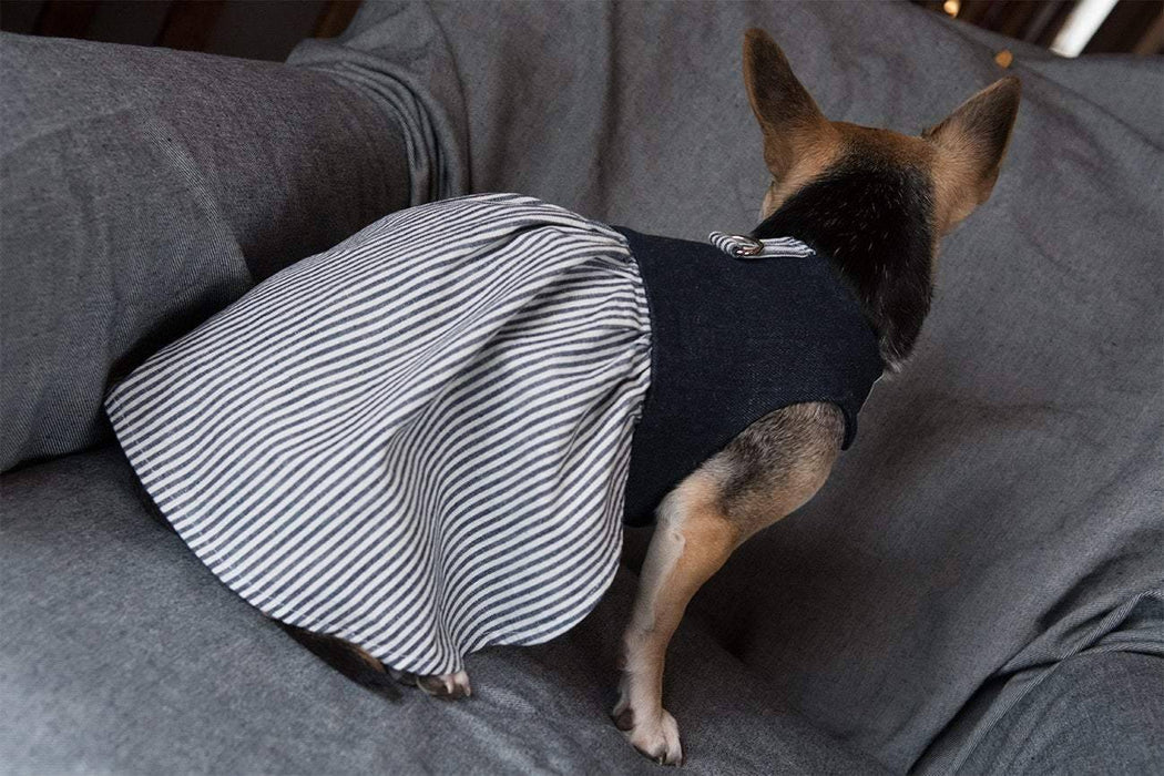 Robe harnais en denim jeans bleu foncé et ligné bleu et blanc pour chien xxxs, xxs, xs, s, m et l