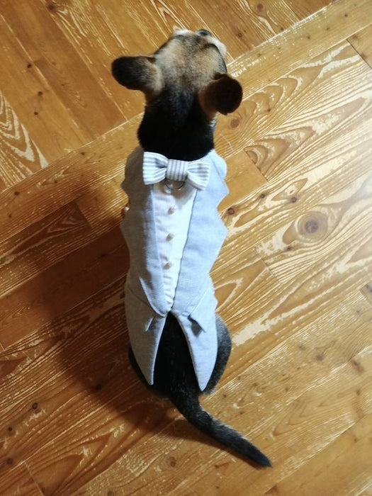Toxedo bleu poudre et blanc en lin & coton pour chien pour anniversaire, mariage, fête ou autre occasion