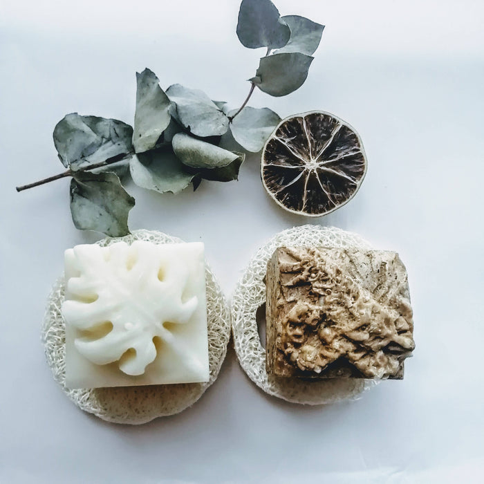 Coffret - shampoing bois et revitalisant solides - cheveux doux