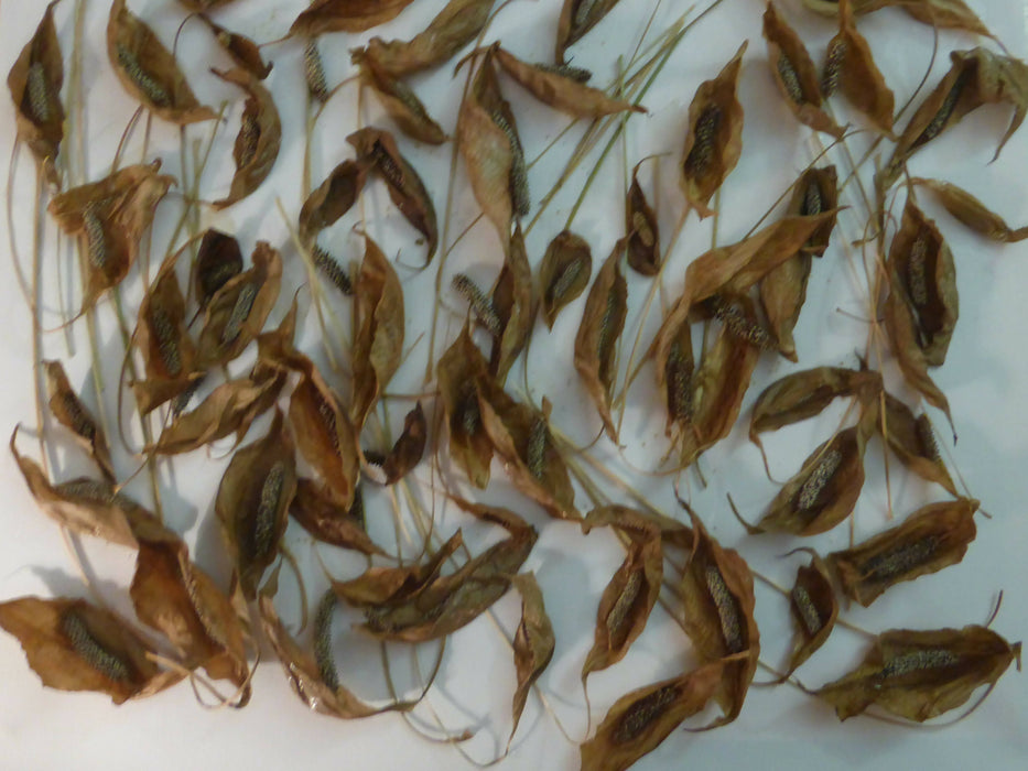 Reproductions sur papier