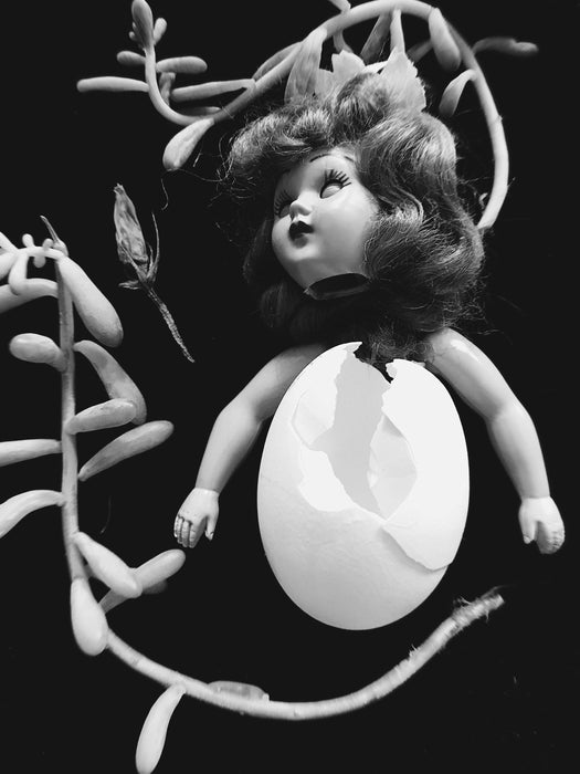 Cartes postales 5x7 (lot de 5) par véronique l'écuyer 2