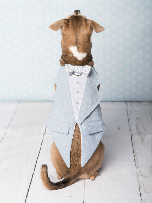 Toxedo bleu poudre et blanc en lin & coton pour chien pour anniversaire, mariage, fête ou autre occasion