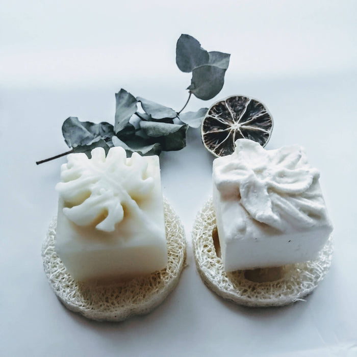 Coffret - shampoing jasmina & revitalisant solides - cheveux brillants