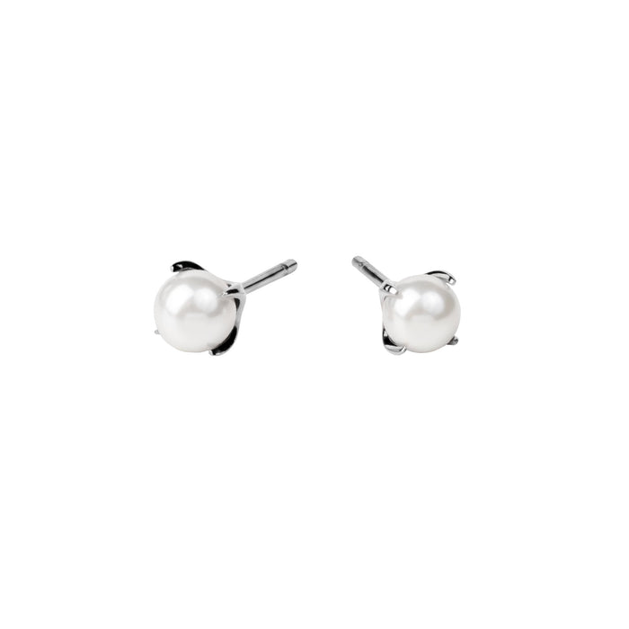 Boucles d'oreilles perles délicates argent en acier inoxydable