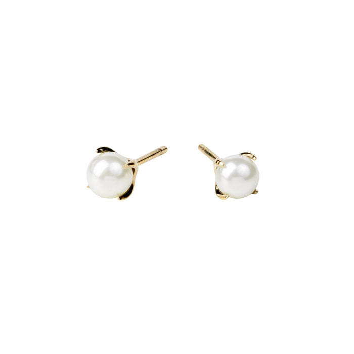 Boucles d'oreilles perles délicates or en acier inoxydable