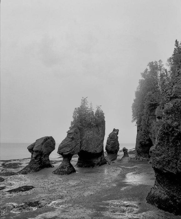 Cartes postales 5x7 (lot de 5) par jeanne lapointe 3