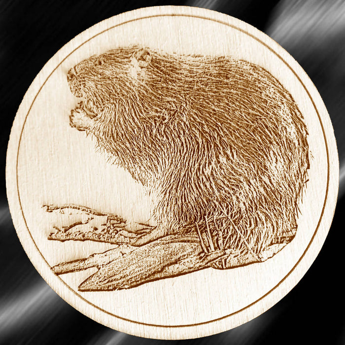 Ensemble sous-verres animaux