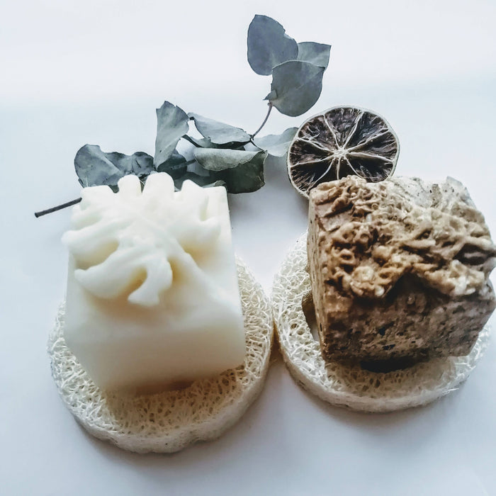 Coffret - shampoing bois et revitalisant solides - cheveux doux