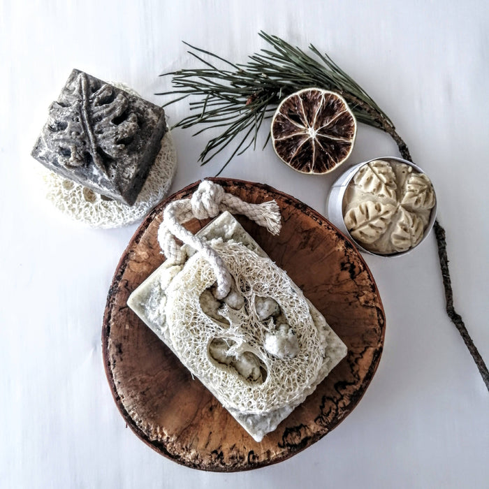 Coffret luffa - découverte zéro déchet