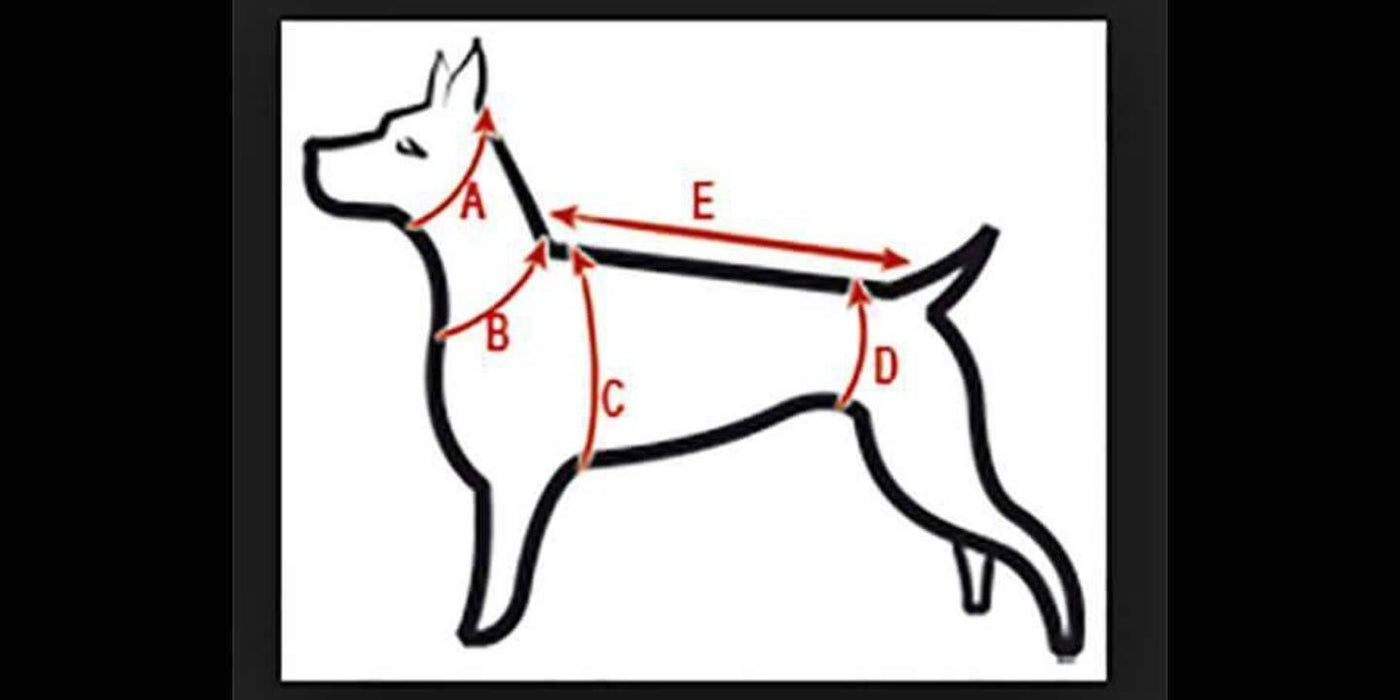 4 couleurs manteau en polar buffalo rouge et noir, gris et noir, beige et noir ou brun et noir pour lévrier italien - doublé de polar noir