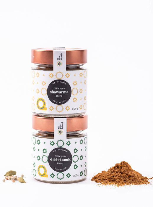 Duo de grillades ~ shawarma et shish-taouk