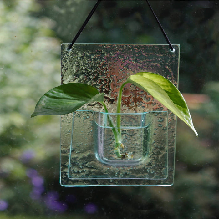 Vase pour enracinement de plantes/fleurs séchées/verre recyclé/vase à bouturer