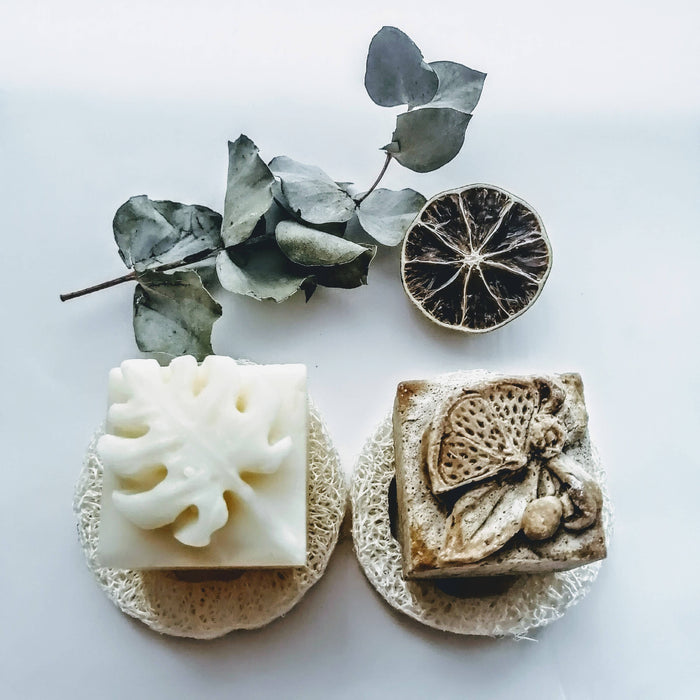 Coffret - shampoing goji & revitalisant solides - cheveux bouclés