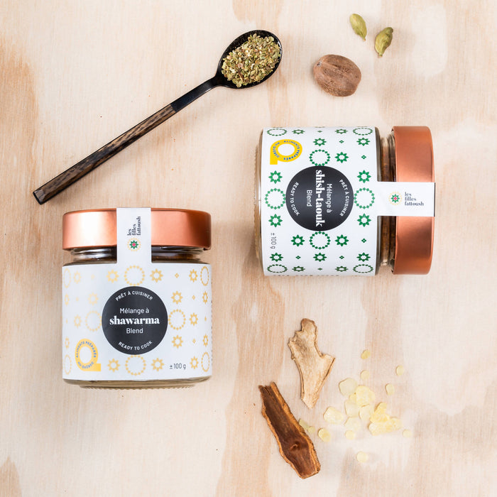 Duo de grillades ~ shawarma et shish-taouk