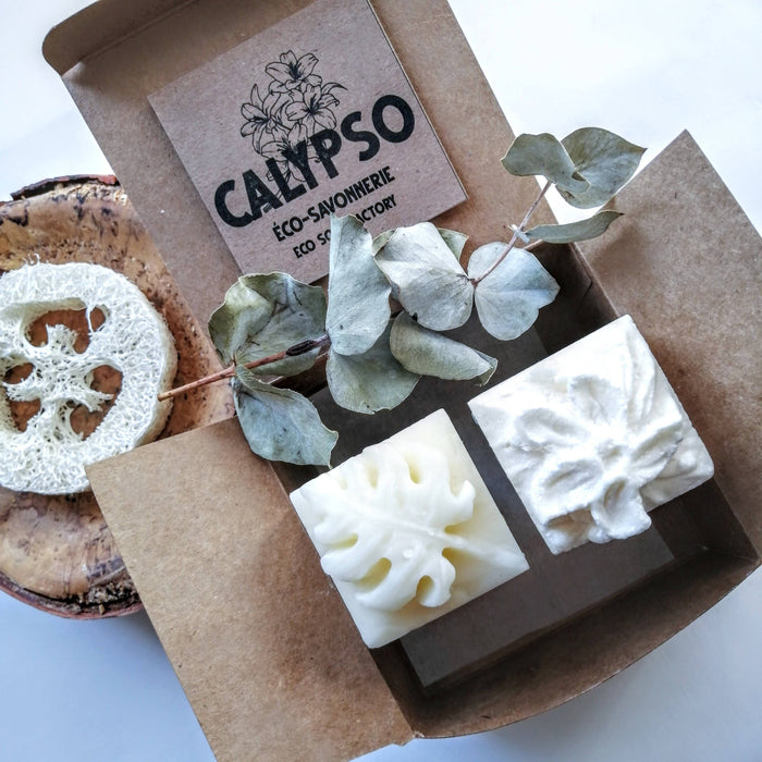 Coffret - shampoing jasmina & revitalisant solides - cheveux brillants