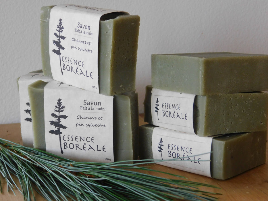 Savon chanvre et pin sylvestre