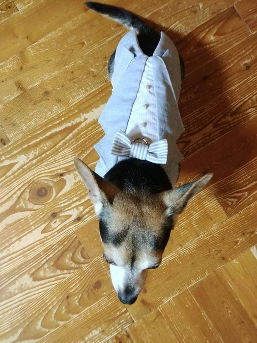 Toxedo bleu poudre et blanc en lin & coton pour chien pour anniversaire, mariage, fête ou autre occasion