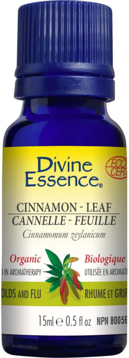 Cannelle Feuille -Divine essence -Gagné en Santé