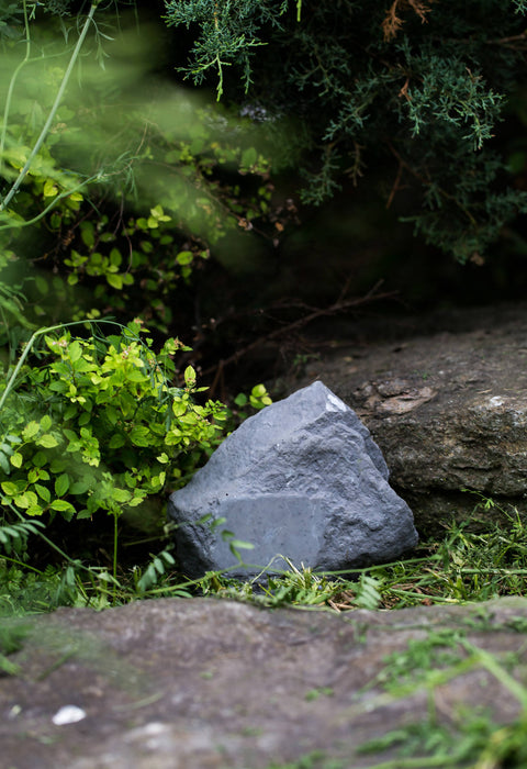 Le monument organique