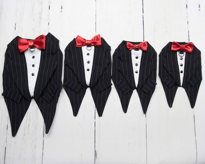 Toxedo zuko noir ligné blanc pour chien pour anniversaire, mariage, fête ou autre occasion