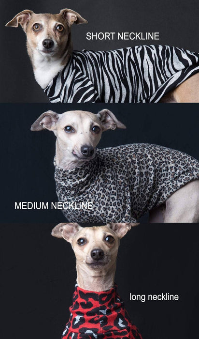 Chandail, pull, tshirt col long/ medium/ court pour lévrier italien ou autre race de chien ou chat; motifs de beignes colorés sur fond aqua